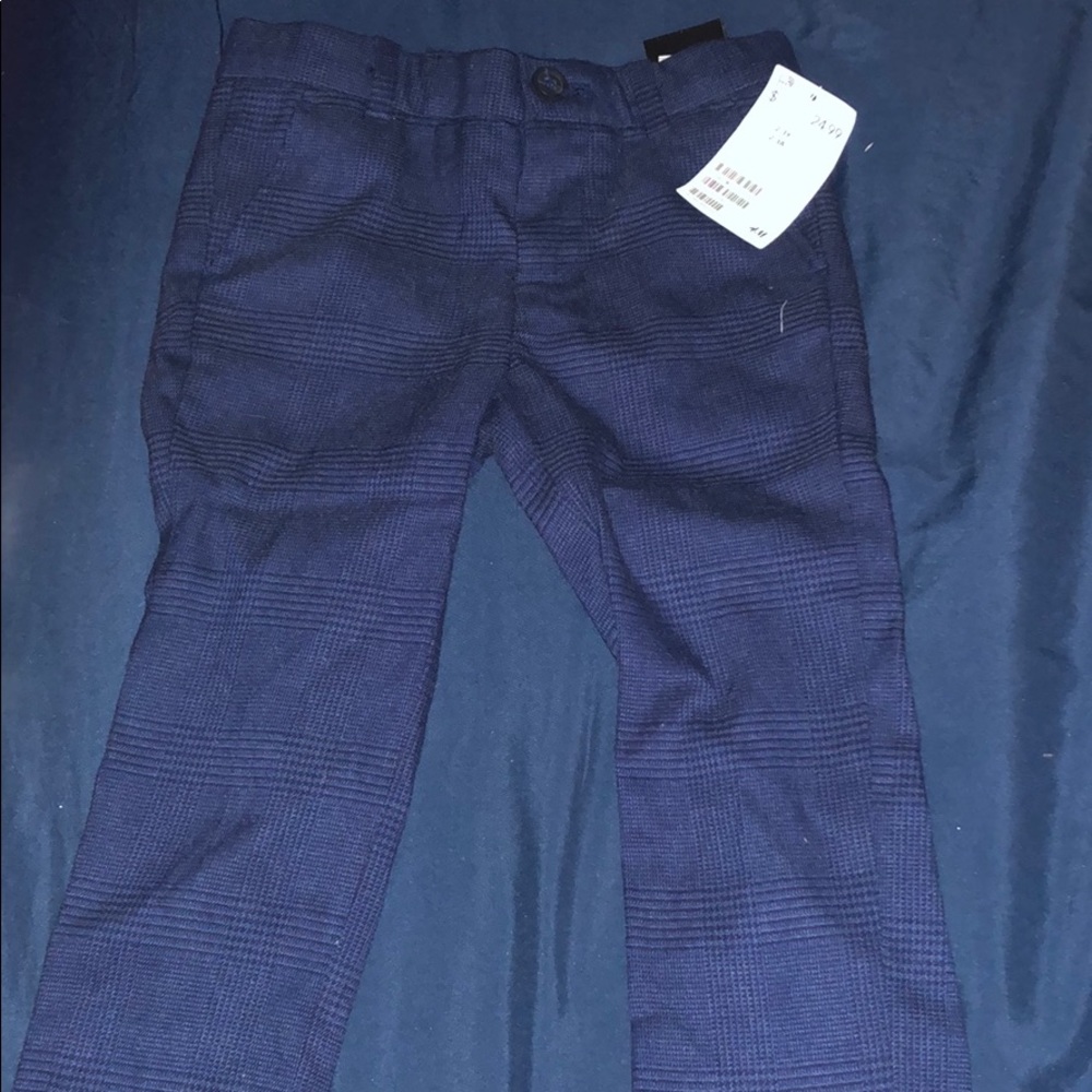 Dressy Pants